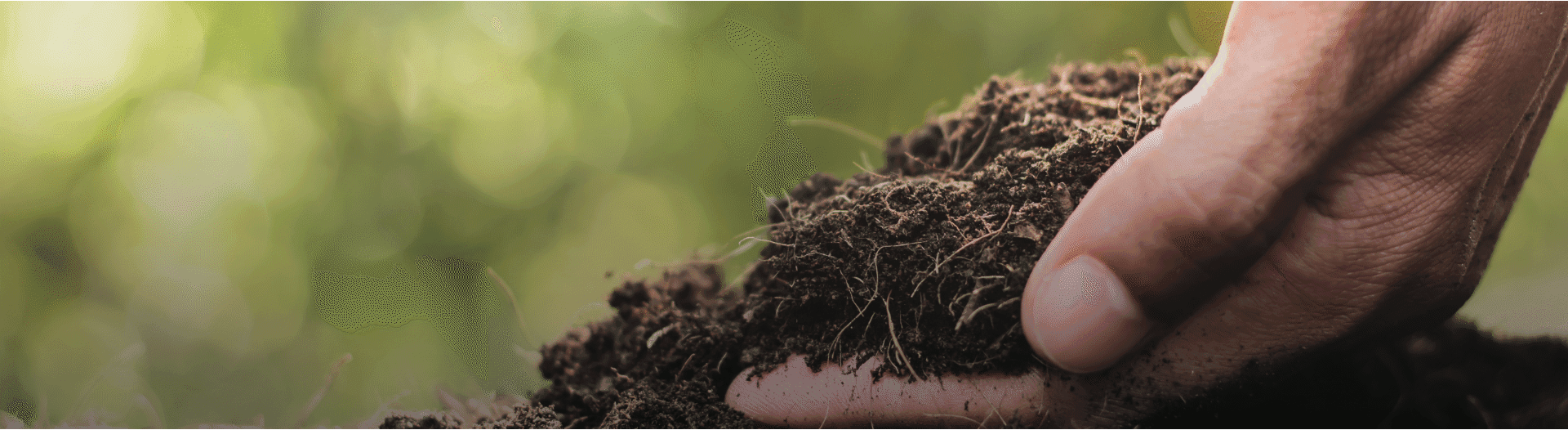 Why Microbes Matter